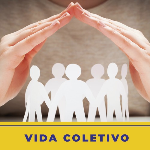 vida-coletivo.jpg